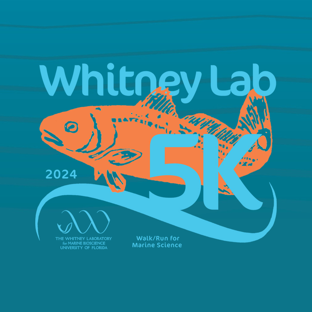 whitney-lab-5k-hr-calendar